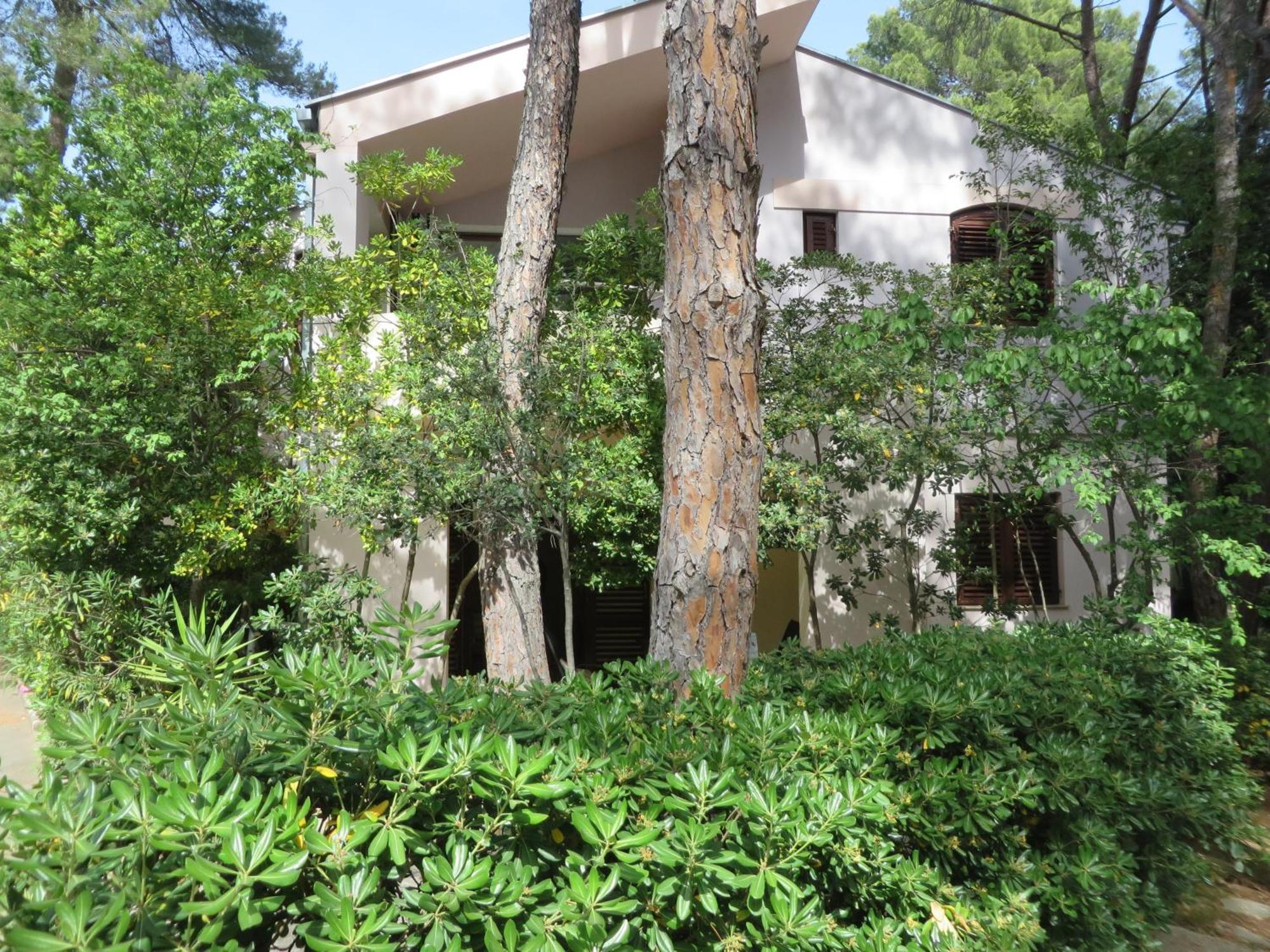 Soline Beach Apartments Biograd Na Moru Rom bilde